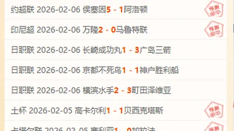周日解析：日职柏太阳神表现分析
